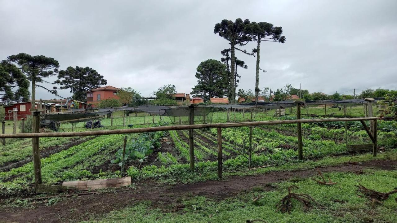 Cabanas Do Casarao Pousada Rural E Camping Cambará Eksteriør billede