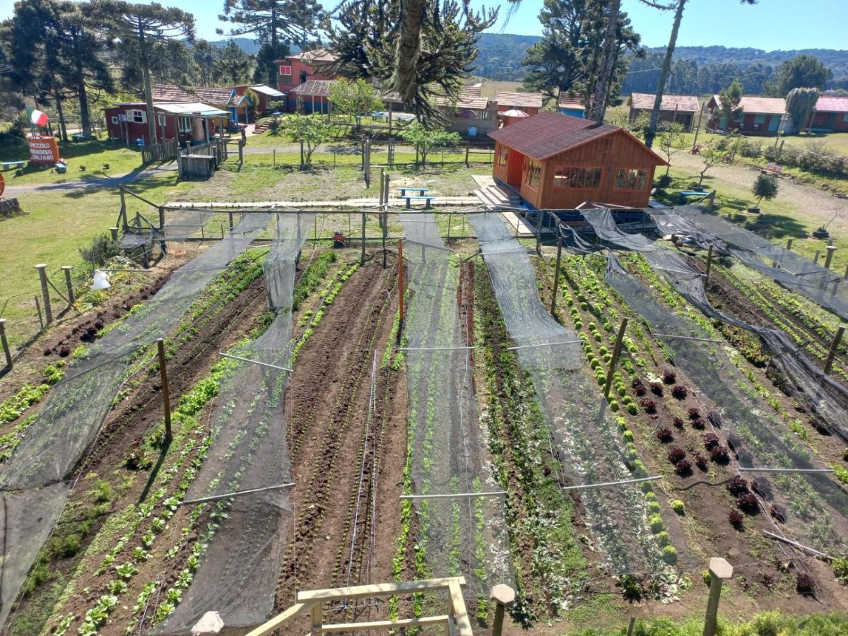 Cabanas Do Casarao Pousada Rural E Camping Cambará Eksteriør billede